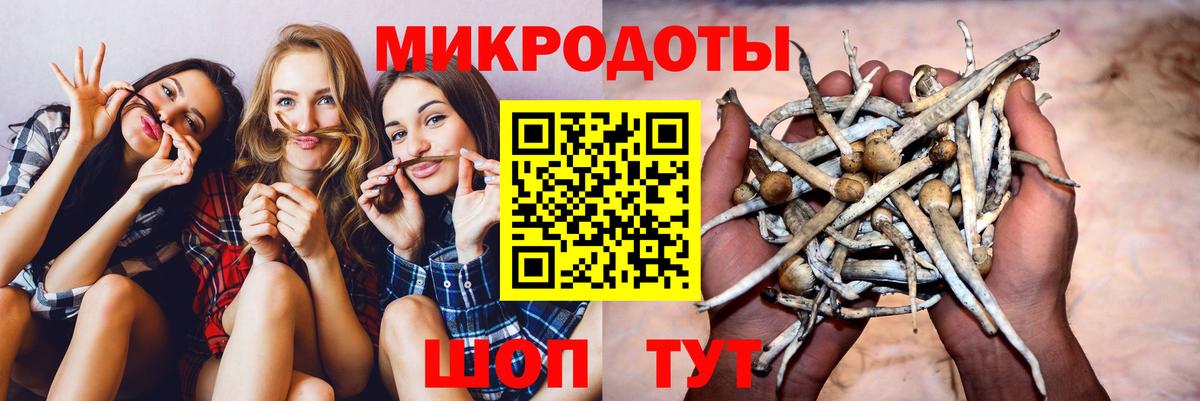 Галлюциногенные грибы GOLDEN TEACHER  Вход с VPN  наркотики  Дубна 